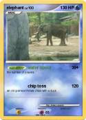 elephant