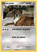 kai inu mixte