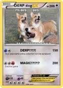 DERP dog