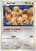 Dog Team