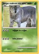berger malinois