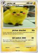 pichu cat