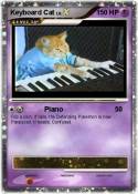Keyboard Cat