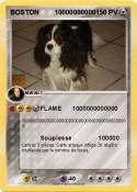 BOSTON 10000000
