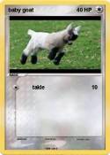 baby goat
