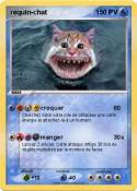 requin-chat