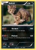 Bobcat