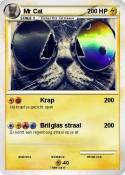 Mr Cat