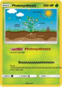 Photosynthesis