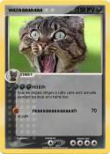 wazaaaaaaaa