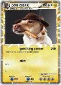 DOG CIGAR