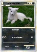 bebe loup blanc