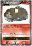 Potatoe cat