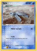 Turts