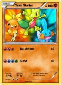 Team Starter