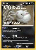 Bunny