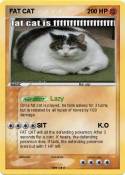 FAT CAT