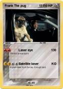 Frank The pug