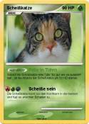 Scheißkatze