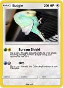 Budgie