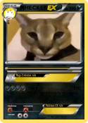 HECKER