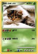 Petit chat