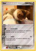 Zou