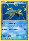 Sea Turtle