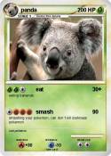 panda