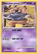 chow-chow priso