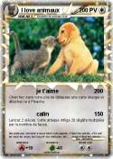 I love animaux