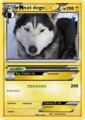 not doge