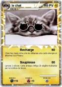 le chat