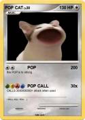POP CAT