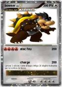 bowser