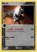 my cat