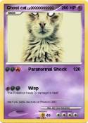 Ghost cat