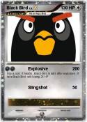 Black Bird