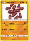 kidney bean