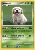 puppy