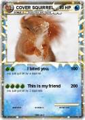 COVER SQUIRREL