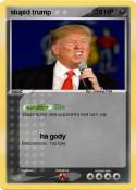 stupid trump