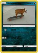 skateboard dog