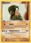 tinimonkey