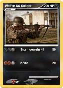 Waffen SS Soild