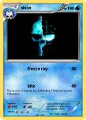 skice