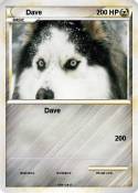 Dave