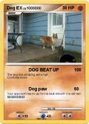 Dog EX