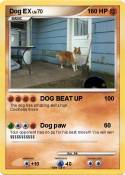 Dog EX