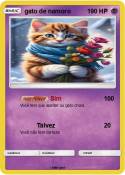 gato de namoro